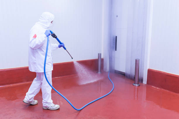 Best Spring Cleaning  in Greenwood, DE